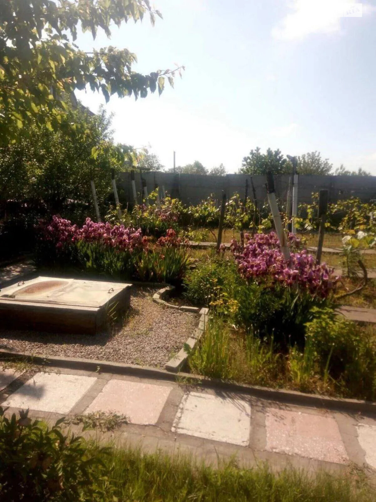 одноповерховий будинок з опаленням, 57 кв. м, цегла. Продаж у Підгородне фото 1 одноповерховий будинок з опаленням, 57 кв. м, цегла. Продаж у Підгородне фото 1