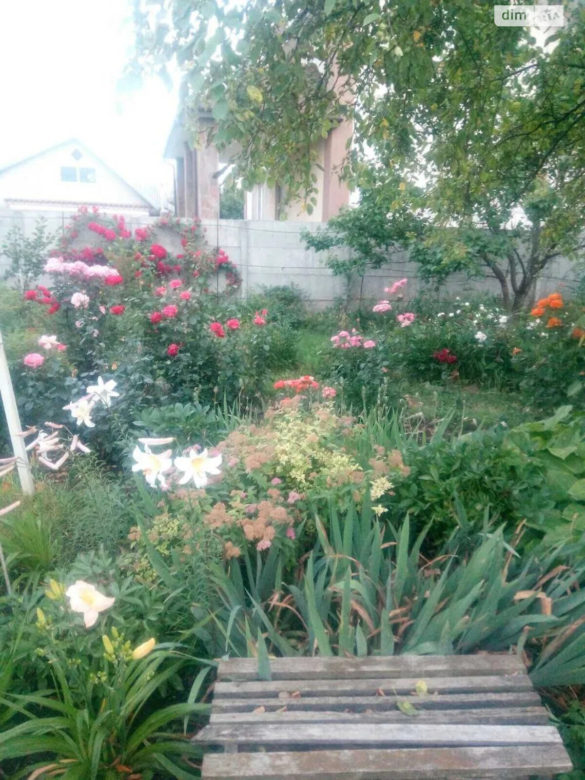 одноповерховий будинок з опаленням, 57 кв. м, цегла. Продаж у Підгородне фото 1 одноповерховий будинок з опаленням, 57 кв. м, цегла. Продаж у Підгородне фото 1
