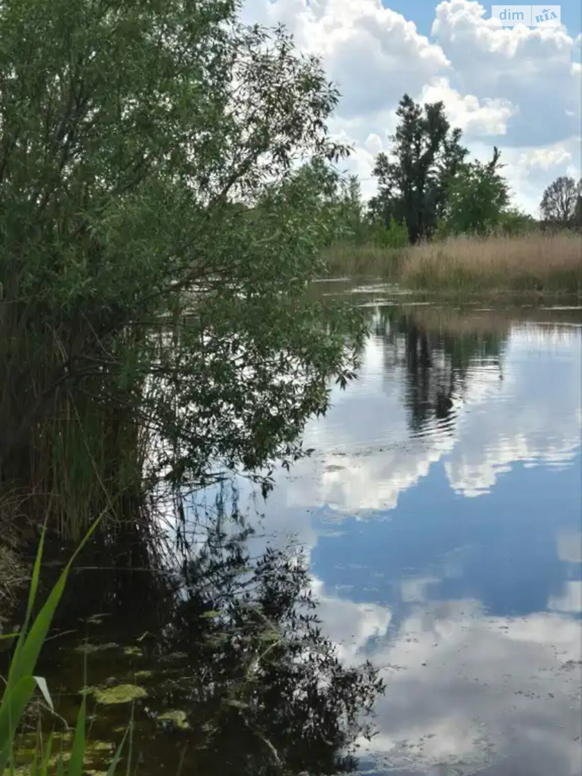 одноповерховий будинок, 100 кв. м, цегла. Продаж у Підгородне фото 1 одноповерховий будинок, 100 кв. м, цегла. Продаж у Підгородне фото 1