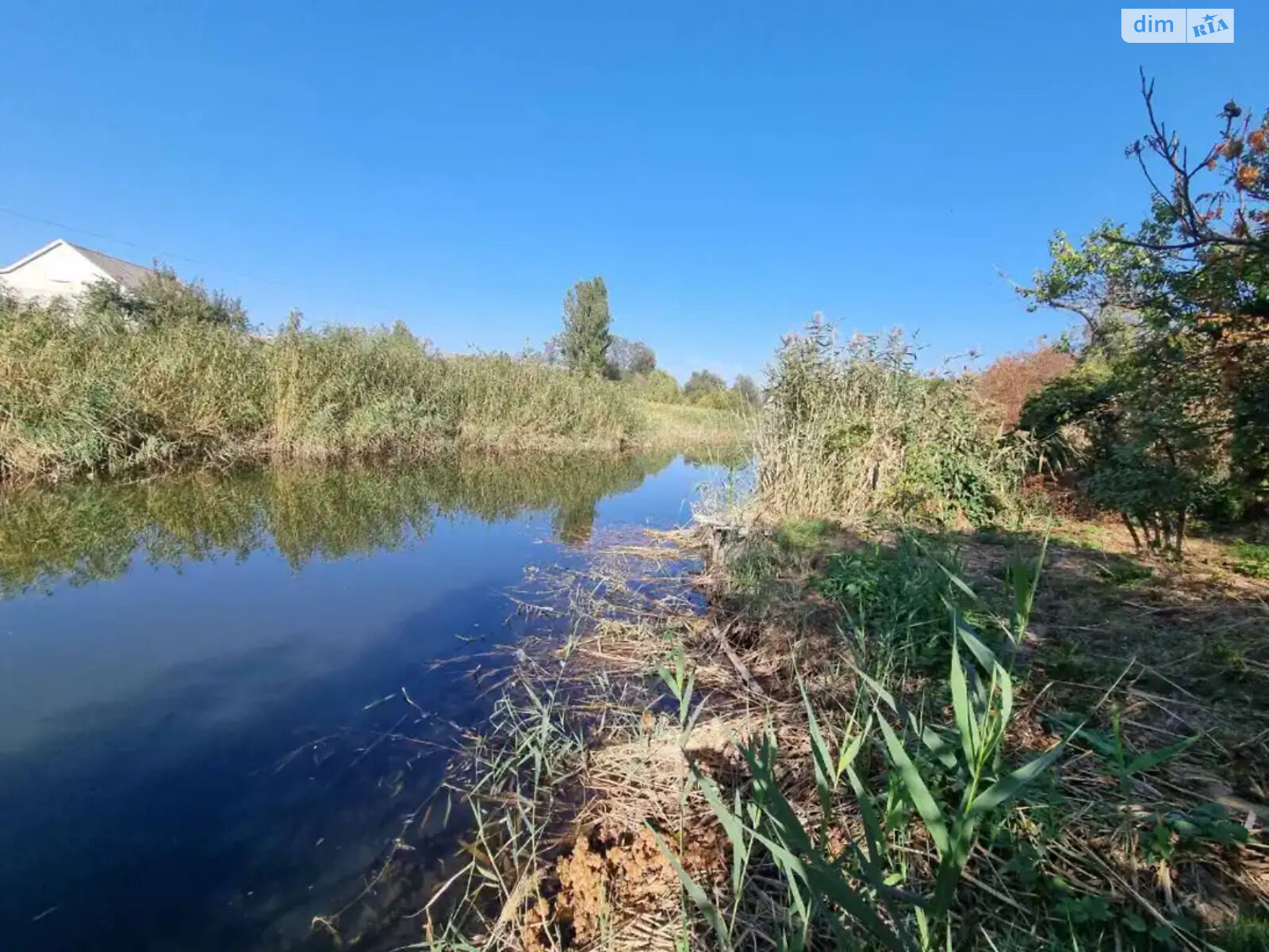 одноповерховий будинок, 100 кв. м, цегла. Продаж у Підгородне фото 1 одноповерховий будинок, 100 кв. м, цегла. Продаж у Підгородне фото 1