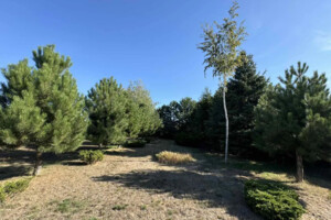двоповерховий будинок, 210 кв. м, цегла. Продаж у Підгородне фото 2