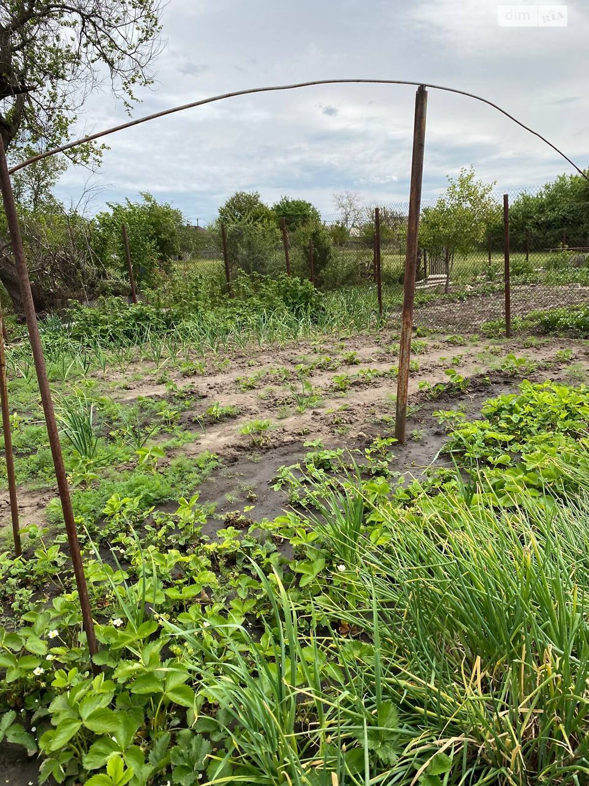 триповерховий будинок з верандою, 162.8 кв. м, цегла. Продаж у Підгородне фото 1 триповерховий будинок з верандою, 162.8 кв. м, цегла. Продаж у Підгородне фото 1