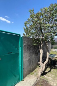 одноповерховий будинок з гаражем, 54 кв. м, цегла. Продаж у Підгородне фото 2 одноповерховий будинок з гаражем, 54 кв. м, цегла. Продаж у Підгородне фото 2