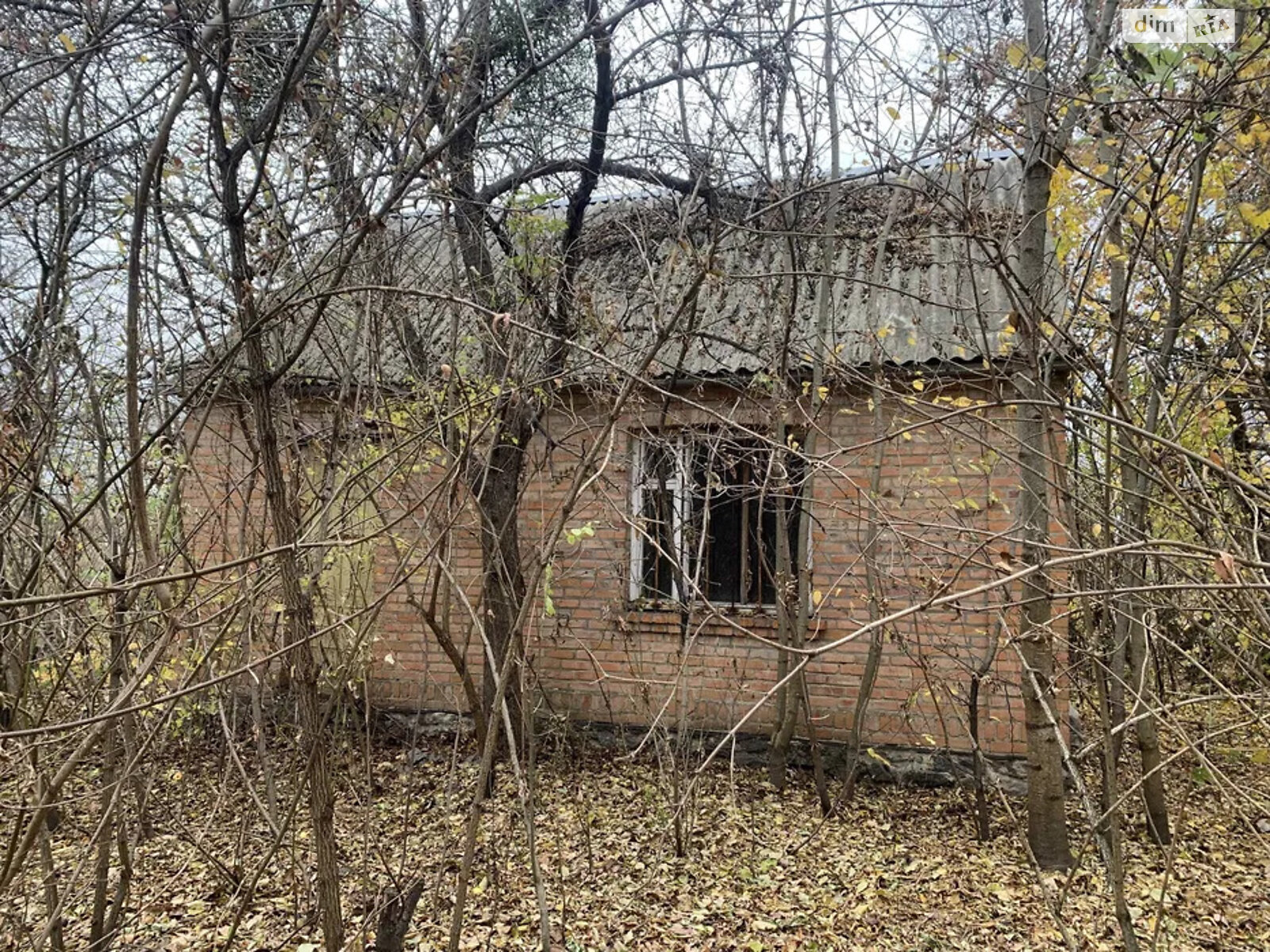 одноэтажный дом, 33 кв. м, кирпич. Продажа в Подолянцах фото 1 одноэтажный дом, 33 кв. м, кирпич. Продажа в Подолянцах фото 1