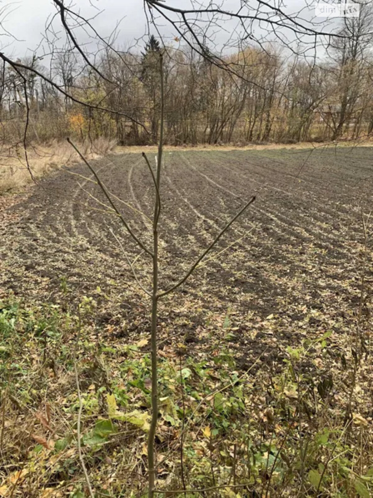 одноэтажный дом, 33 кв. м, кирпич. Продажа в Подолянцах фото 1 одноэтажный дом, 33 кв. м, кирпич. Продажа в Подолянцах фото 1