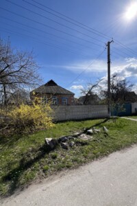 одноповерховий будинок, 55 кв. м, цегла саманна. Продаж у Подорожньому фото 2