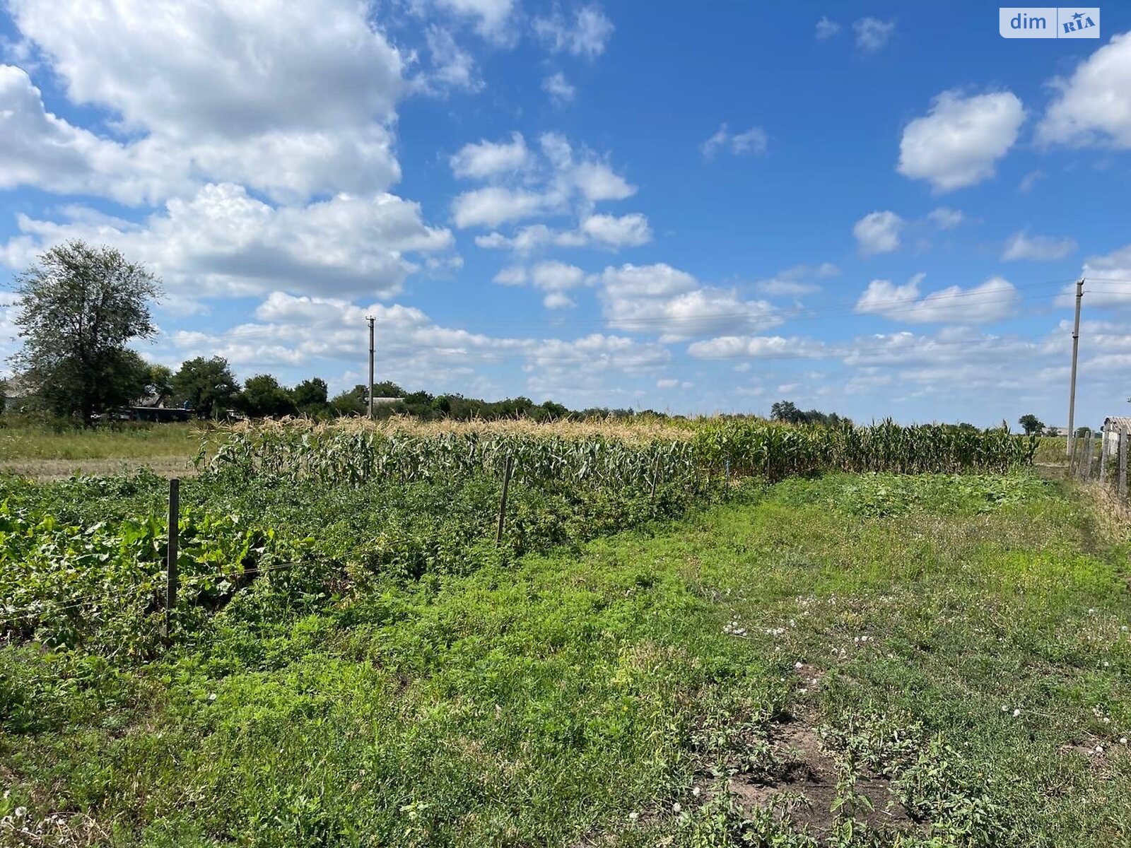 одноэтажный дом с гаражом, 77.8 кв. м, кирпич. Продажа в Подпольном фото 1