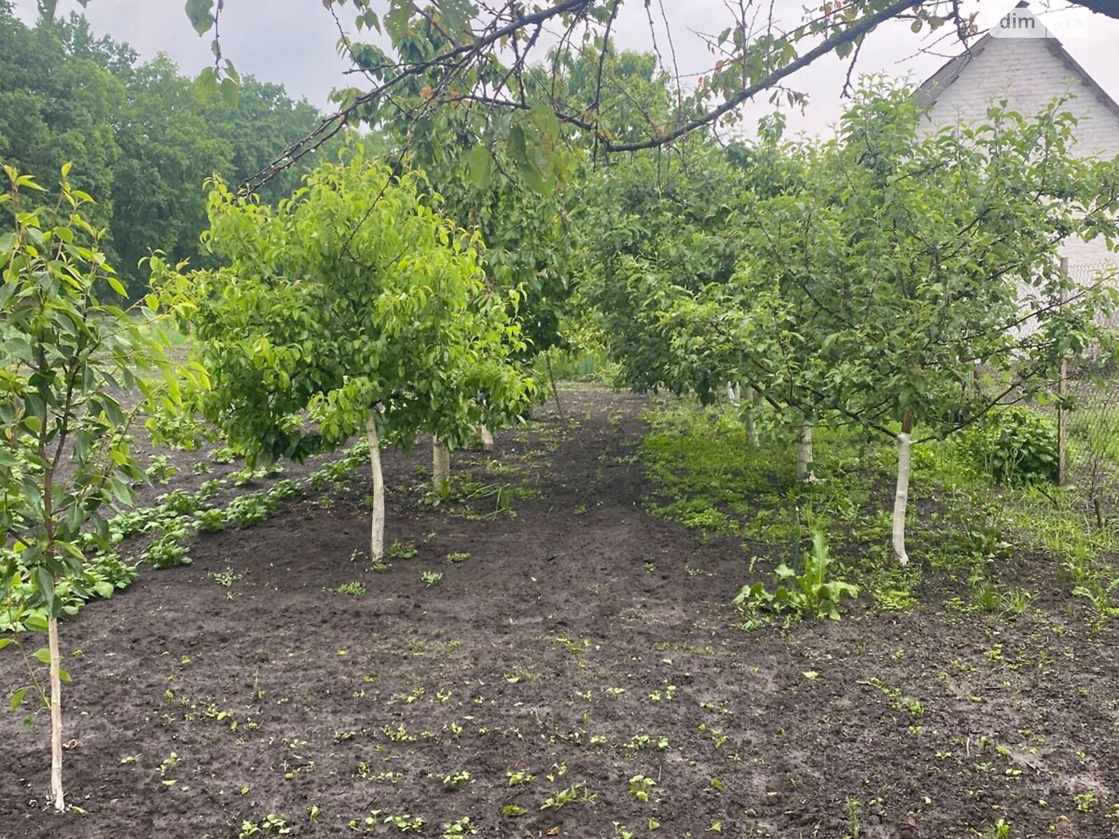 одноповерховий будинок з верандою, 62.3 кв. м, шлакобетон. Продаж у Погребище Першому фото 1 одноповерховий будинок з верандою, 62.3 кв. м, шлакобетон. Продаж у Погребище Першому фото 1