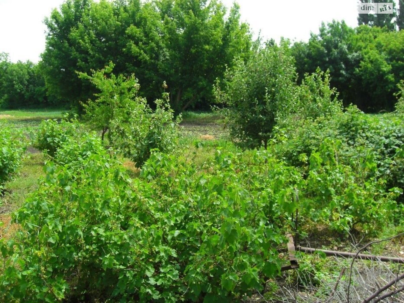 одноповерховий будинок з гаражем, 55 кв. м, цегла. Продаж у Погребняках фото 1 одноповерховий будинок з гаражем, 55 кв. м, цегла. Продаж у Погребняках фото 1