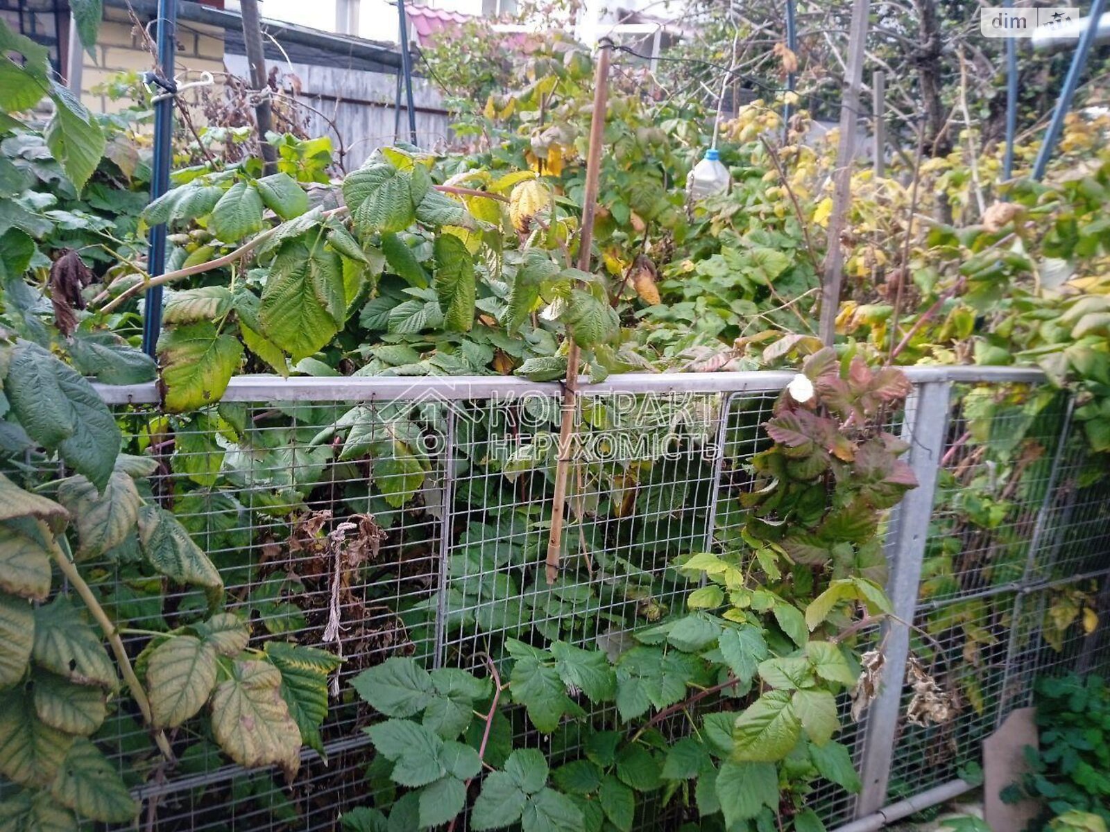 одноэтажный дом, 75 кв. м, кирпич. Продажа в Покотиловке фото 1 одноэтажный дом, 75 кв. м, кирпич. Продажа в Покотиловке фото 1