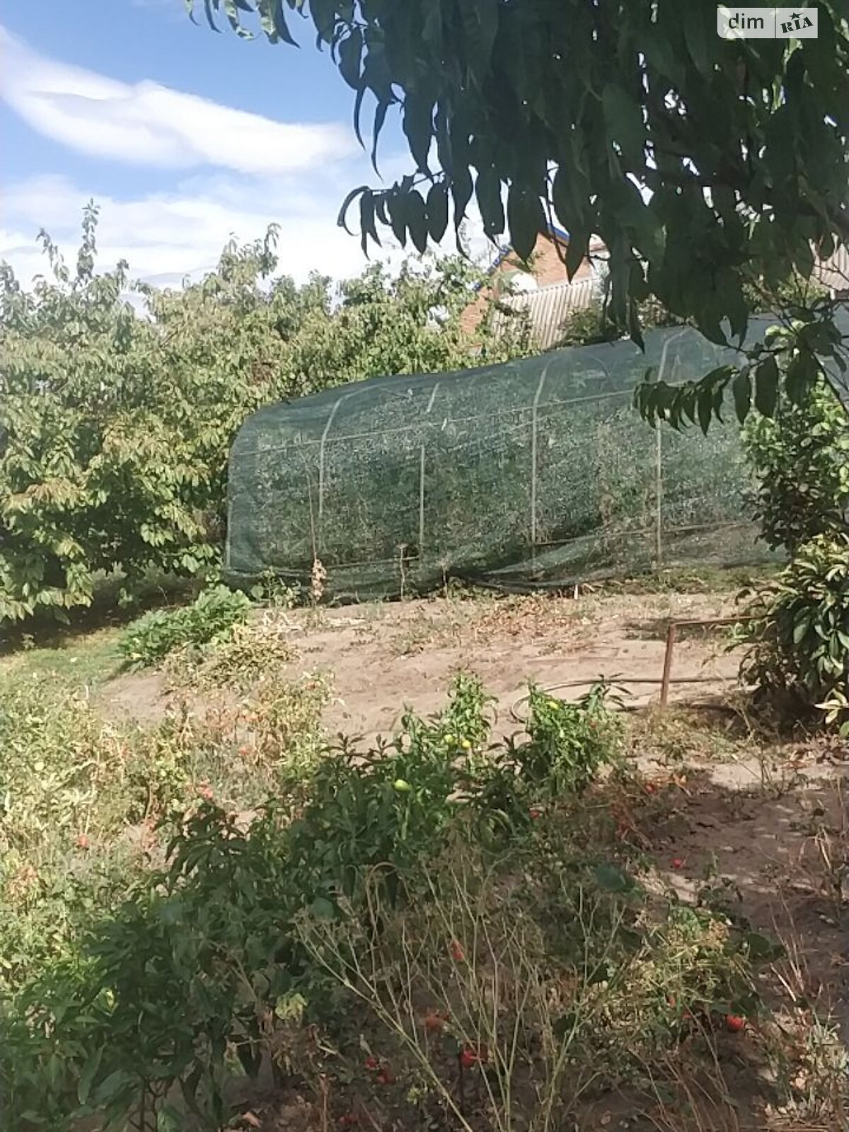одноэтажный дом с гаражом, 50.6 кв. м, кирпич. Продажа в Покрове фото 1 одноэтажный дом с гаражом, 50.6 кв. м, кирпич. Продажа в Покрове фото 1