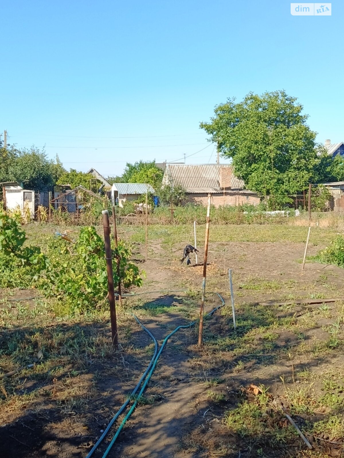 одноэтажный дом, 49.1 кв. м, кирпич. Продажа в Покрове фото 1