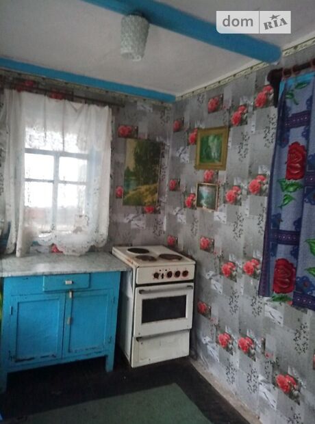 одноповерховий будинок з каміном, 64 кв. м, цегла. Продаж у Покровську фото 1 одноповерховий будинок з каміном, 64 кв. м, цегла. Продаж у Покровську фото 1
