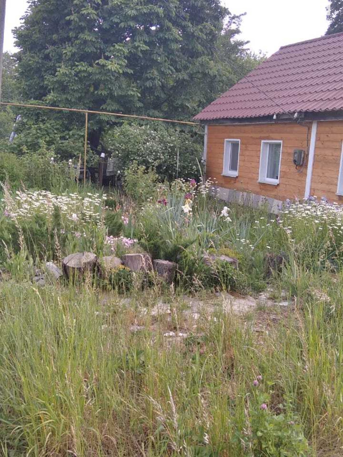 одноповерховий будинок з верандою, 56 кв. м, цегла. Продаж у Поліському фото 1 одноповерховий будинок з верандою, 56 кв. м, цегла. Продаж у Поліському фото 1