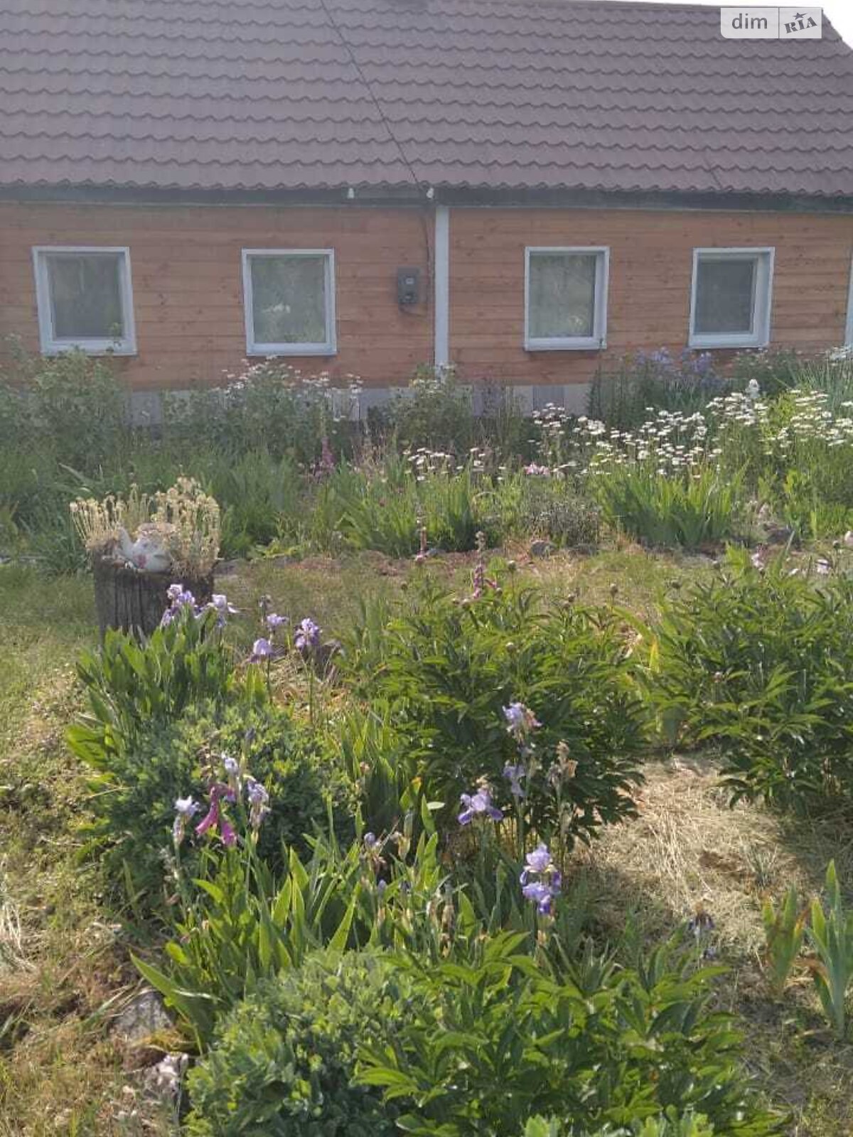 одноповерховий будинок з верандою, 56 кв. м, цегла. Продаж у Поліському фото 1 одноповерховий будинок з верандою, 56 кв. м, цегла. Продаж у Поліському фото 1