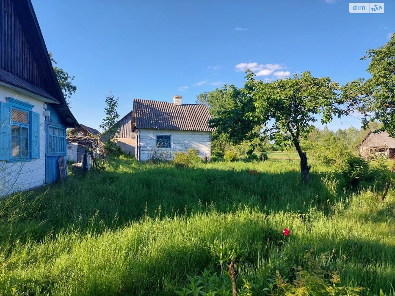одноэтажный дом с гаражом, 75.5 кв. м, сруб. Продажа в Полицы фото 1 одноэтажный дом с гаражом, 75.5 кв. м, сруб. Продажа в Полицы фото 1