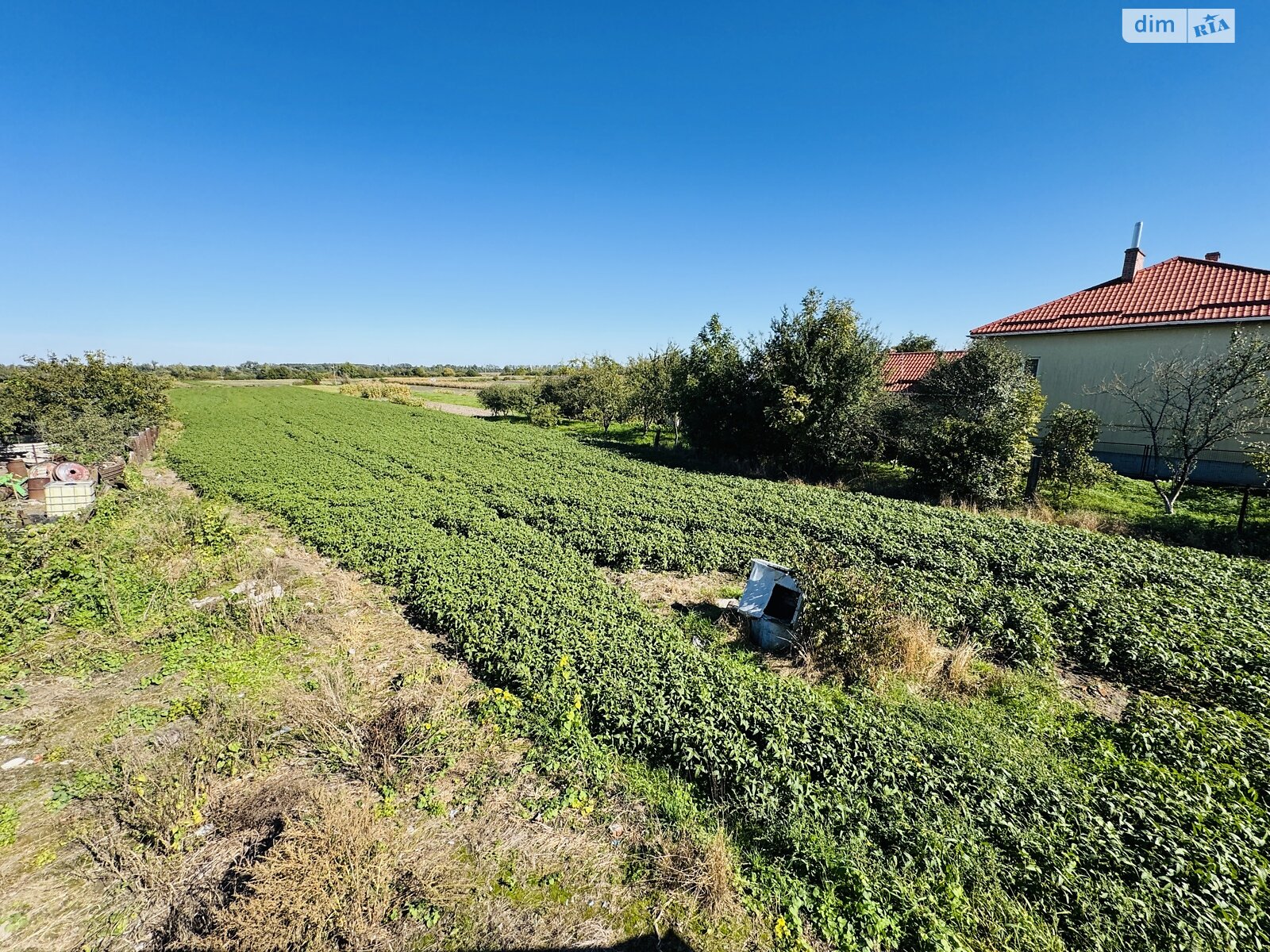 одноповерховий будинок, 43 кв. м, цегла. Продаж у Полоничах фото 1 одноповерховий будинок, 43 кв. м, цегла. Продаж у Полоничах фото 1