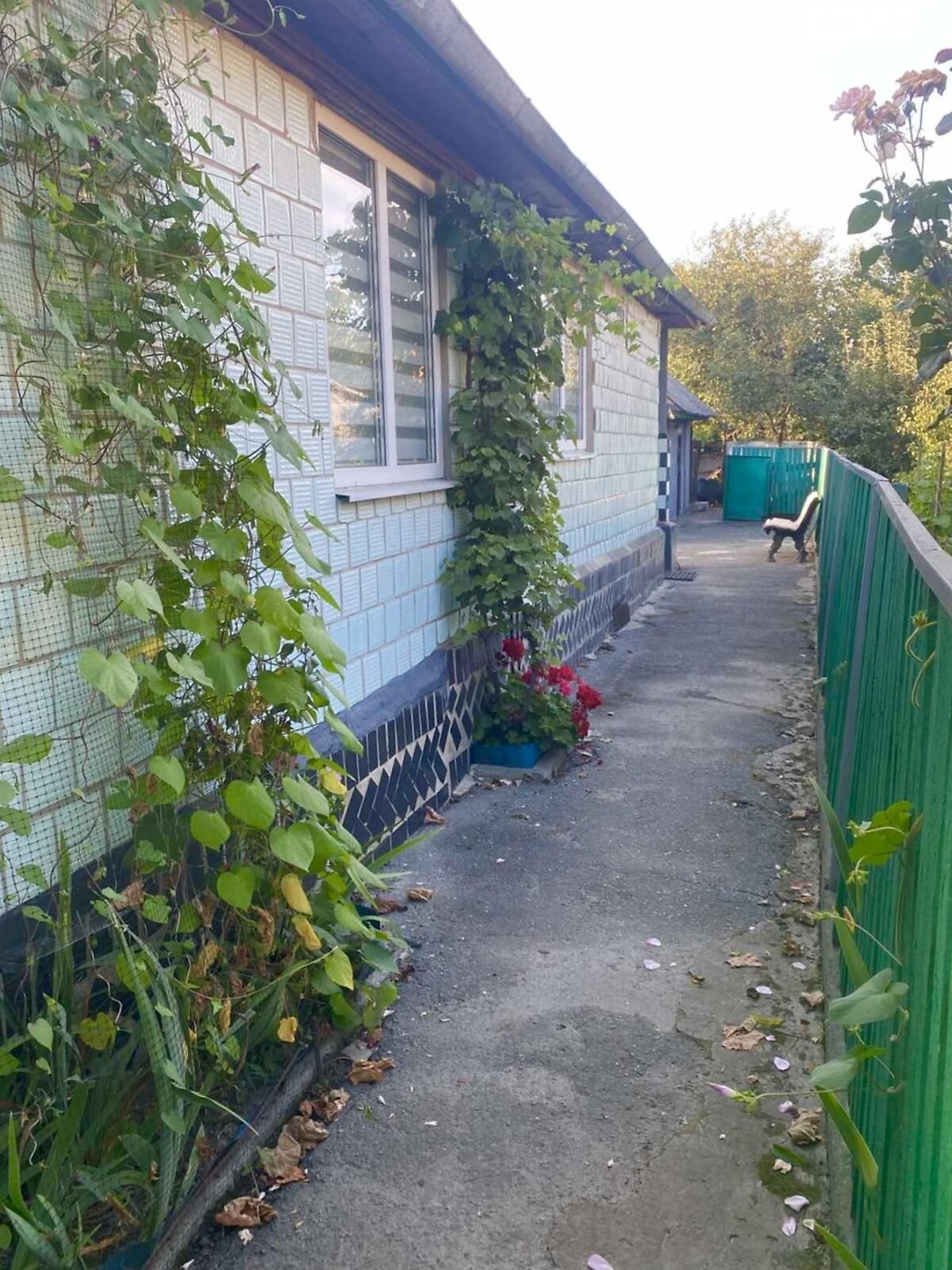 одноповерховий будинок з гаражем, 90 кв. м, цегла. Продаж у Полонному фото 1