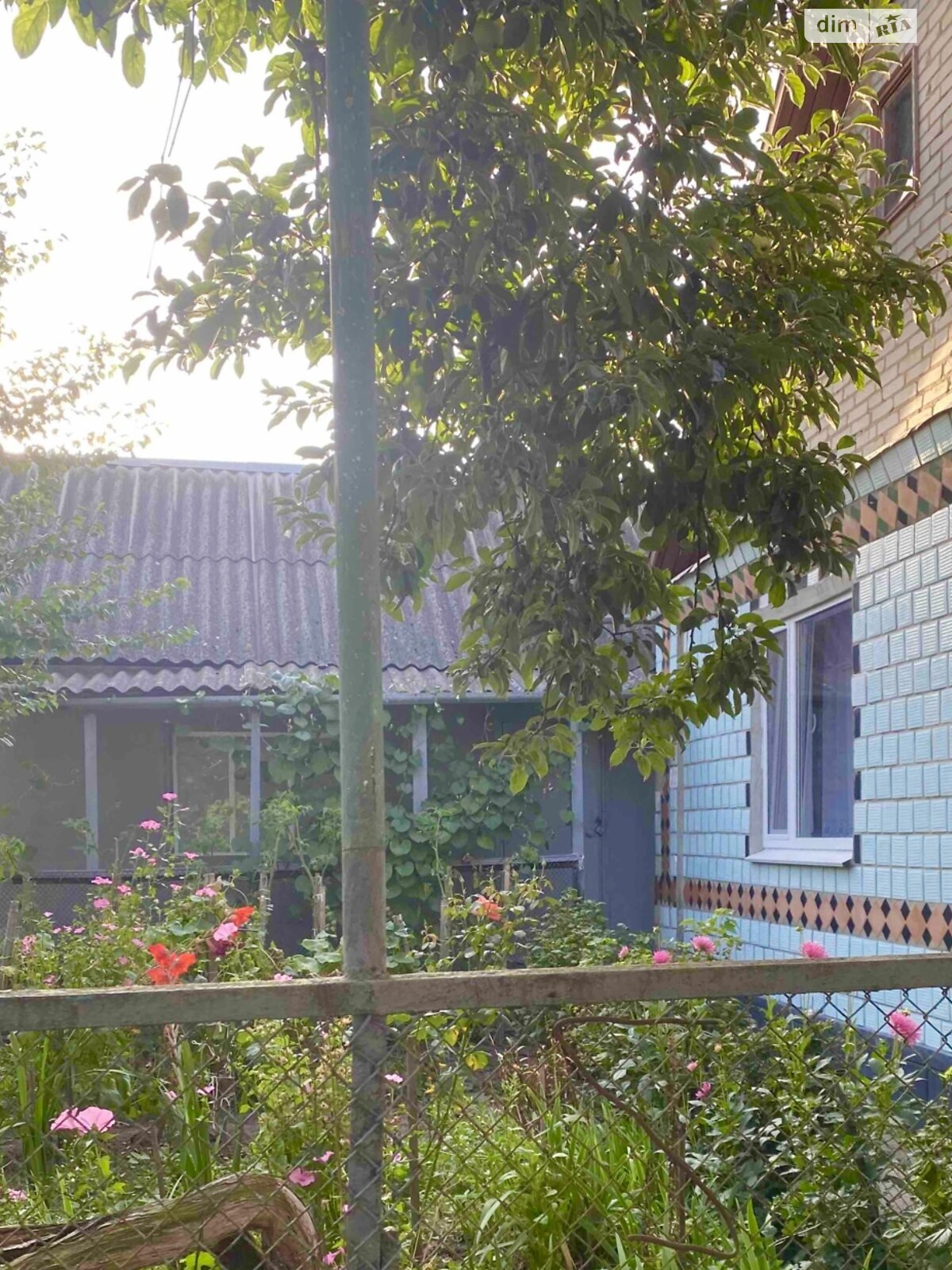 одноповерховий будинок з гаражем, 90 кв. м, цегла. Продаж у Полонному фото 1