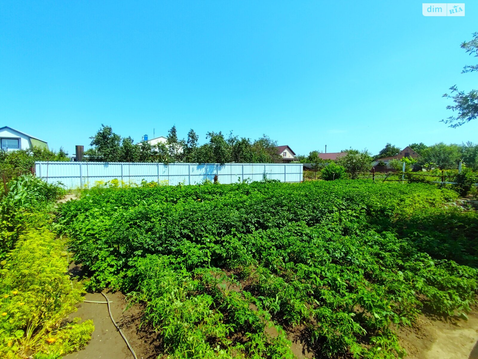 двухэтажный дом с верандой, 121 кв. м, кирпич. Продажа в Полтаве район Киевский фото 1 двухэтажный дом с верандой, 121 кв. м, кирпич. Продажа в Полтаве район Киевский фото 1