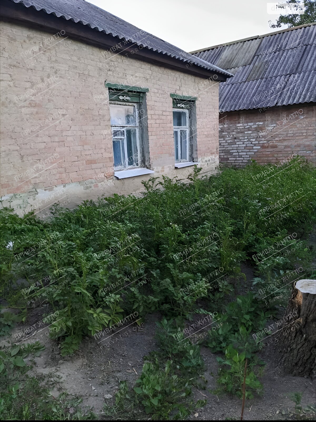 одноэтажный дом, 56 кв. м, кирпич. Продажа в Полтаве район Киевский фото 1 одноэтажный дом, 56 кв. м, кирпич. Продажа в Полтаве район Киевский фото 1