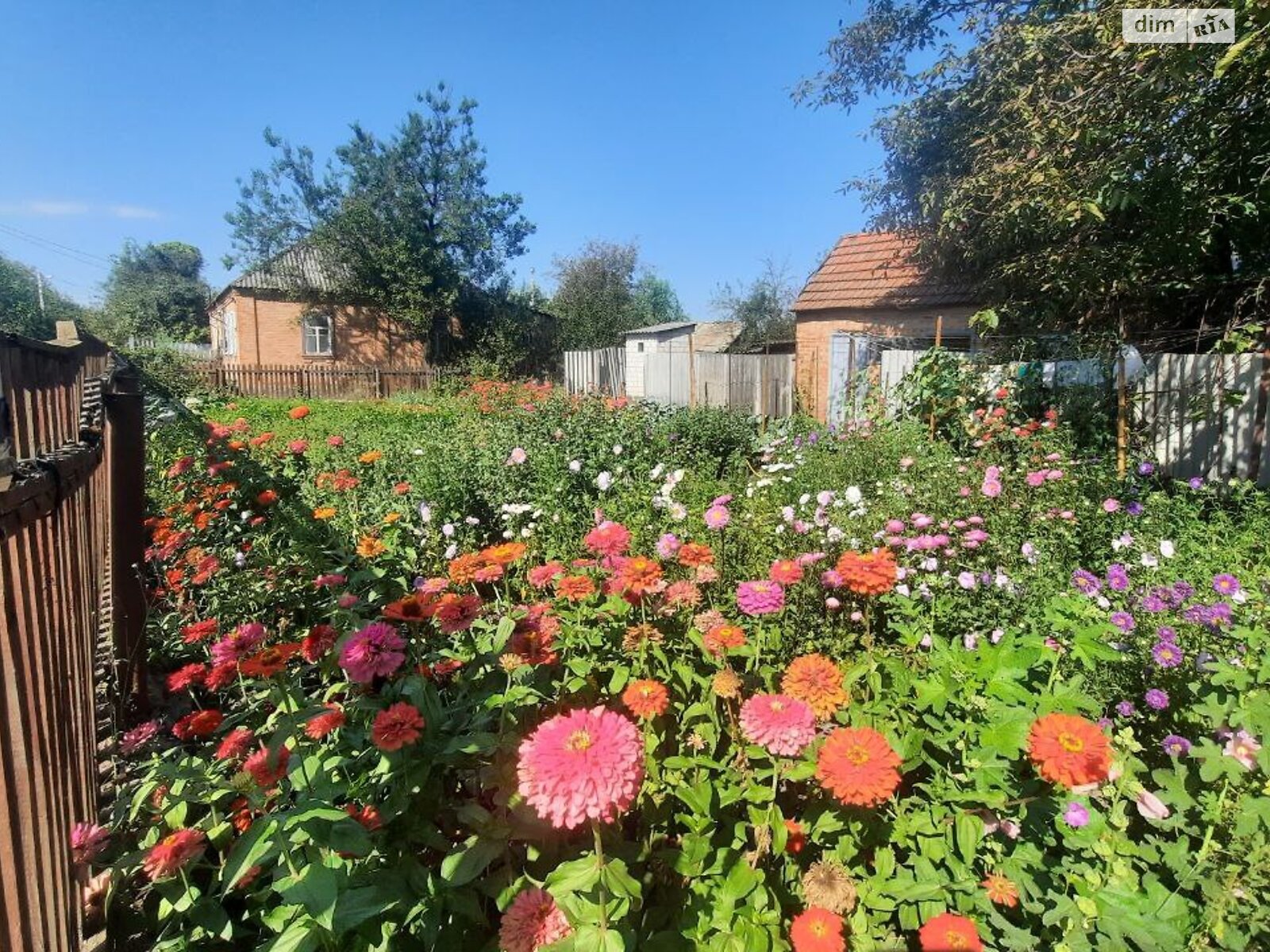 одноповерховий будинок з верандою, 63 кв. м, цегла. Продаж в Полтаві, район Лісок фото 1 одноповерховий будинок з верандою, 63 кв. м, цегла. Продаж в Полтаві, район Лісок фото 1