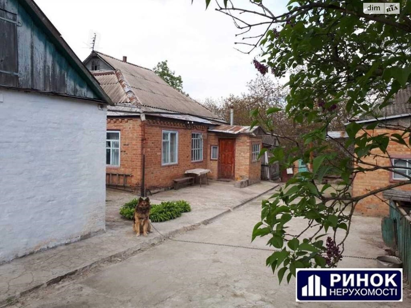 одноповерховий будинок з гаражем, 123 кв. м, цегла. Продаж в Полтаві, район Левада фото 1 одноповерховий будинок з гаражем, 123 кв. м, цегла. Продаж в Полтаві, район Левада фото 1