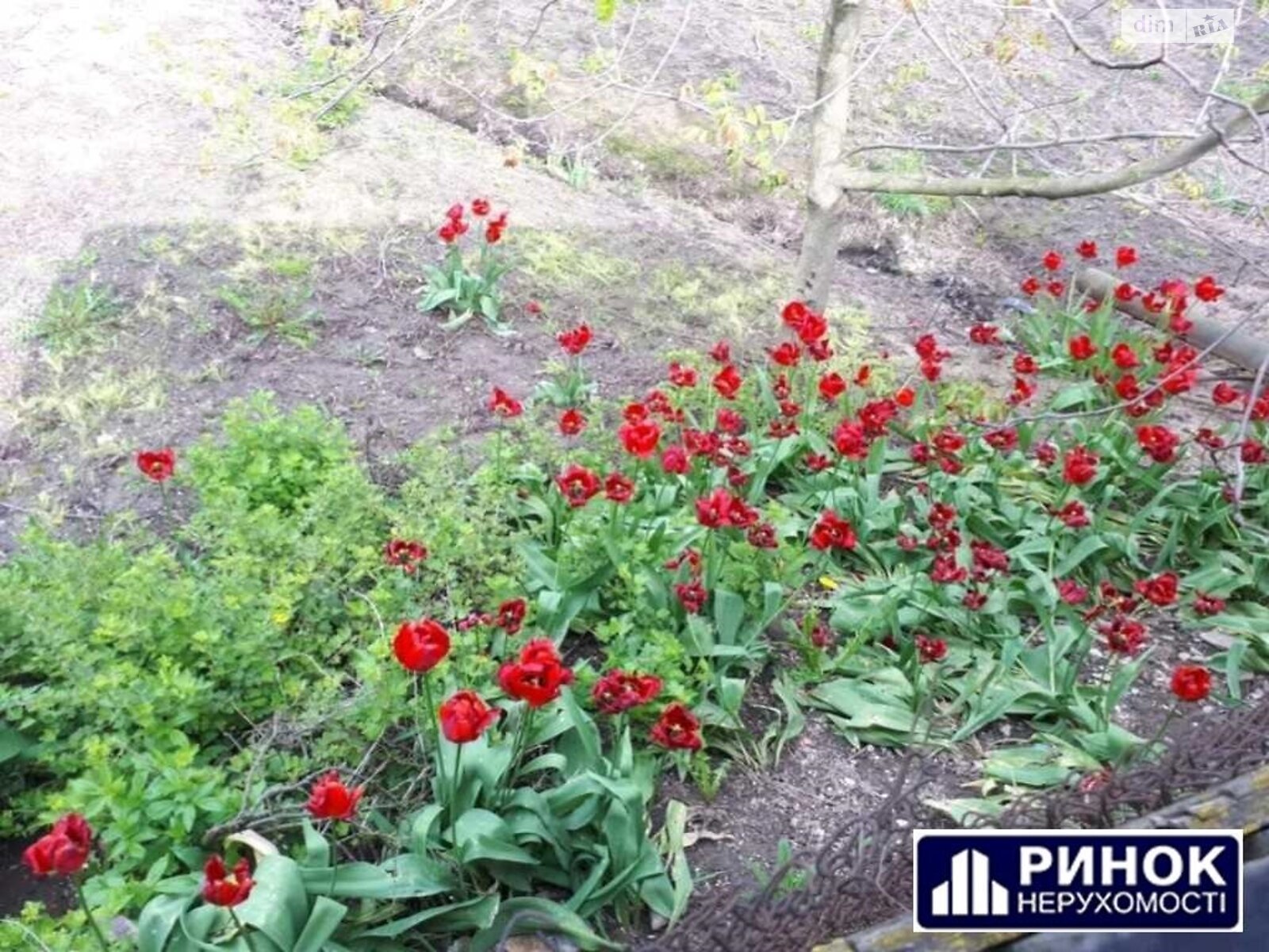 одноповерховий будинок з гаражем, 123 кв. м, цегла. Продаж в Полтаві, район Левада фото 1 одноповерховий будинок з гаражем, 123 кв. м, цегла. Продаж в Полтаві, район Левада фото 1
