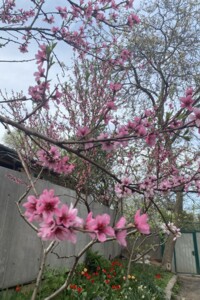 двухэтажный дом с гаражом, 146 кв. м, кирпич. Продажа в Полтаве район Левый Подол фото 2