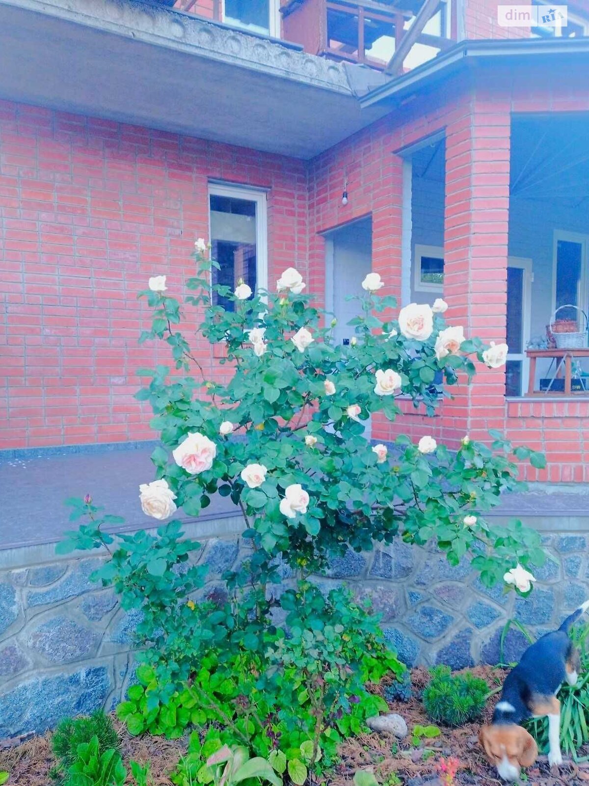 двухэтажный дом с верандой, 184.3 кв. м, кирпич. Продажа в Полтаве фото 1