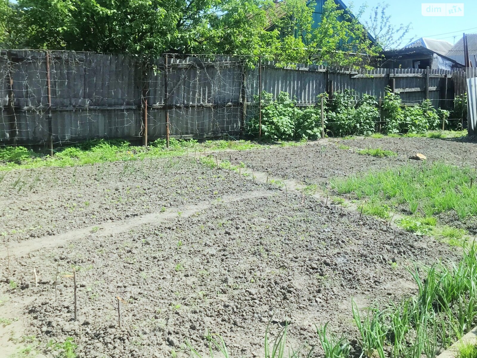 одноповерховий будинок з гаражем, 72.1 кв. м, цегла. Продаж в Полтаві, район Поділ фото 1 одноповерховий будинок з гаражем, 72.1 кв. м, цегла. Продаж в Полтаві, район Поділ фото 1
