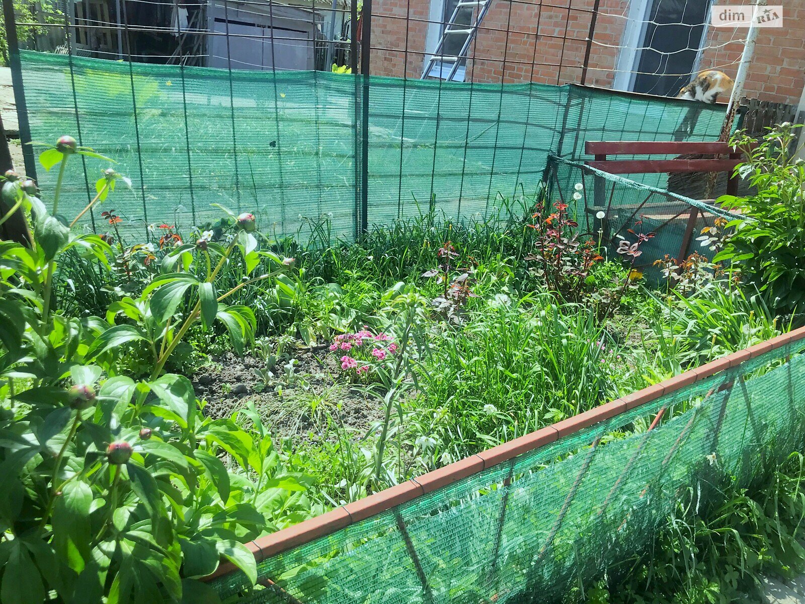 одноповерховий будинок з гаражем, 72.1 кв. м, цегла. Продаж в Полтаві, район Поділ фото 1 одноповерховий будинок з гаражем, 72.1 кв. м, цегла. Продаж в Полтаві, район Поділ фото 1