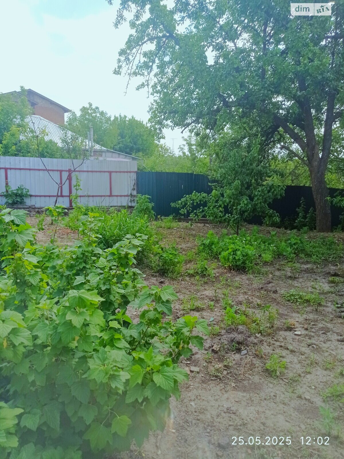 двухэтажный дом беседка, 123 кв. м, кирпич. Продажа в Полтаве район Центр фото 1 двухэтажный дом беседка, 123 кв. м, кирпич. Продажа в Полтаве район Центр фото 1