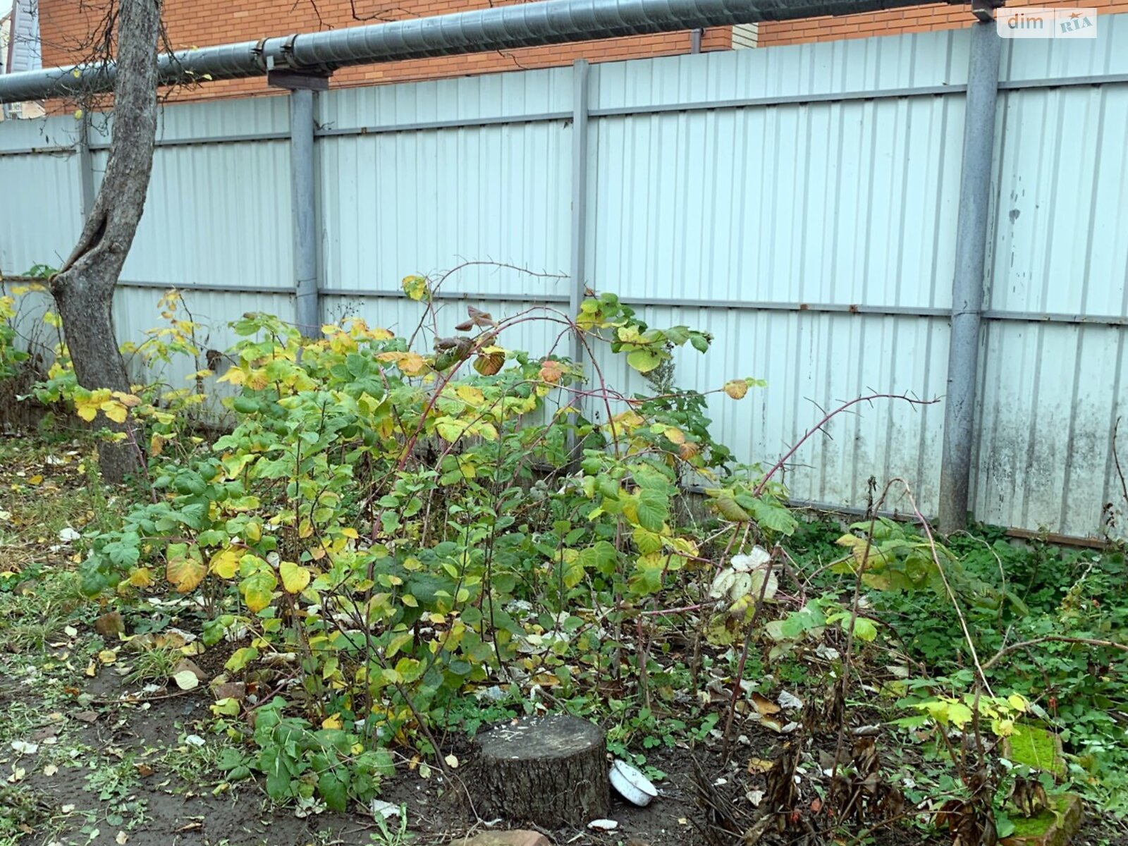 одноэтажный дом с отоплением, 40.1 кв. м, кирпич. Продажа в Полтаве район Центр фото 1 одноэтажный дом с отоплением, 40.1 кв. м, кирпич. Продажа в Полтаве район Центр фото 1