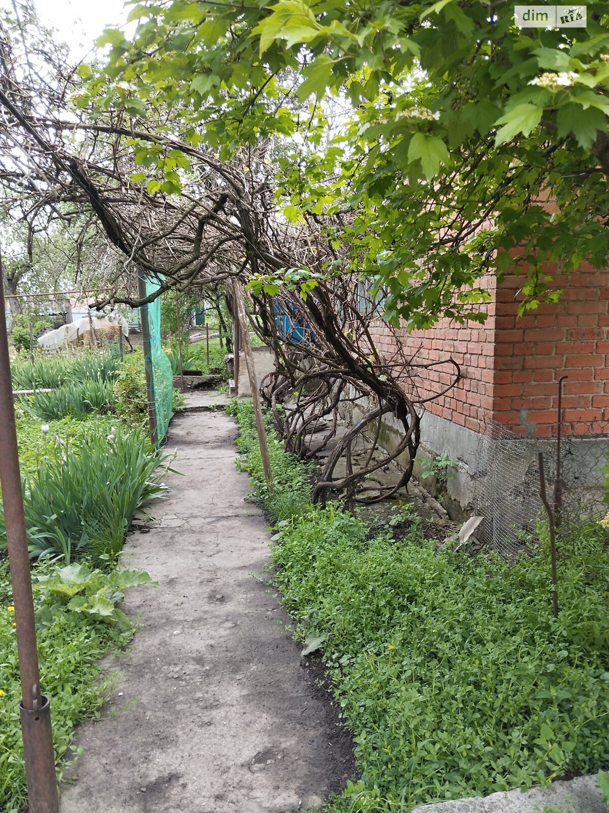 одноповерховий будинок з гаражем, 68.4 кв. м, цегла. Продаж у Полузір’ї фото 1 одноповерховий будинок з гаражем, 68.4 кв. м, цегла. Продаж у Полузір’ї фото 1