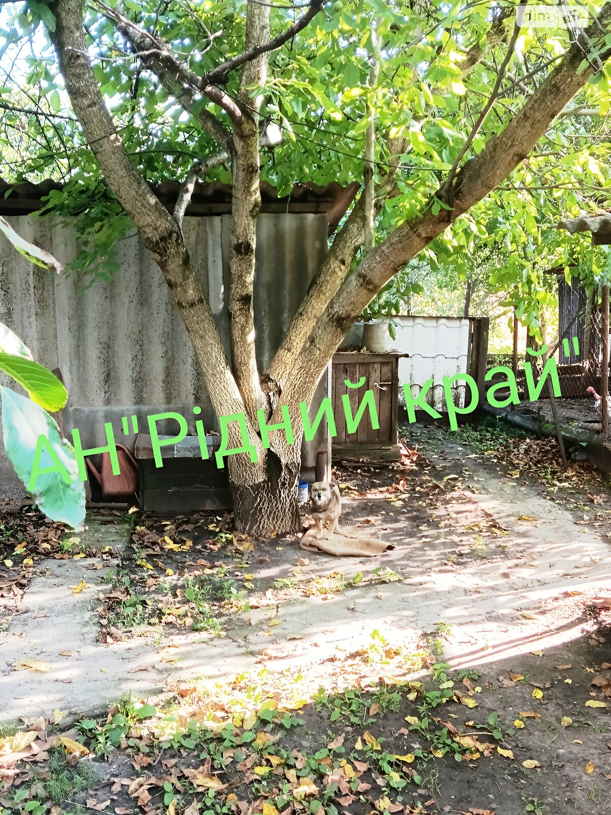 одноповерховий будинок з опаленням, 55 кв. м, цегла. Продаж у Полузір’ї фото 1 одноповерховий будинок з опаленням, 55 кв. м, цегла. Продаж у Полузір’ї фото 1