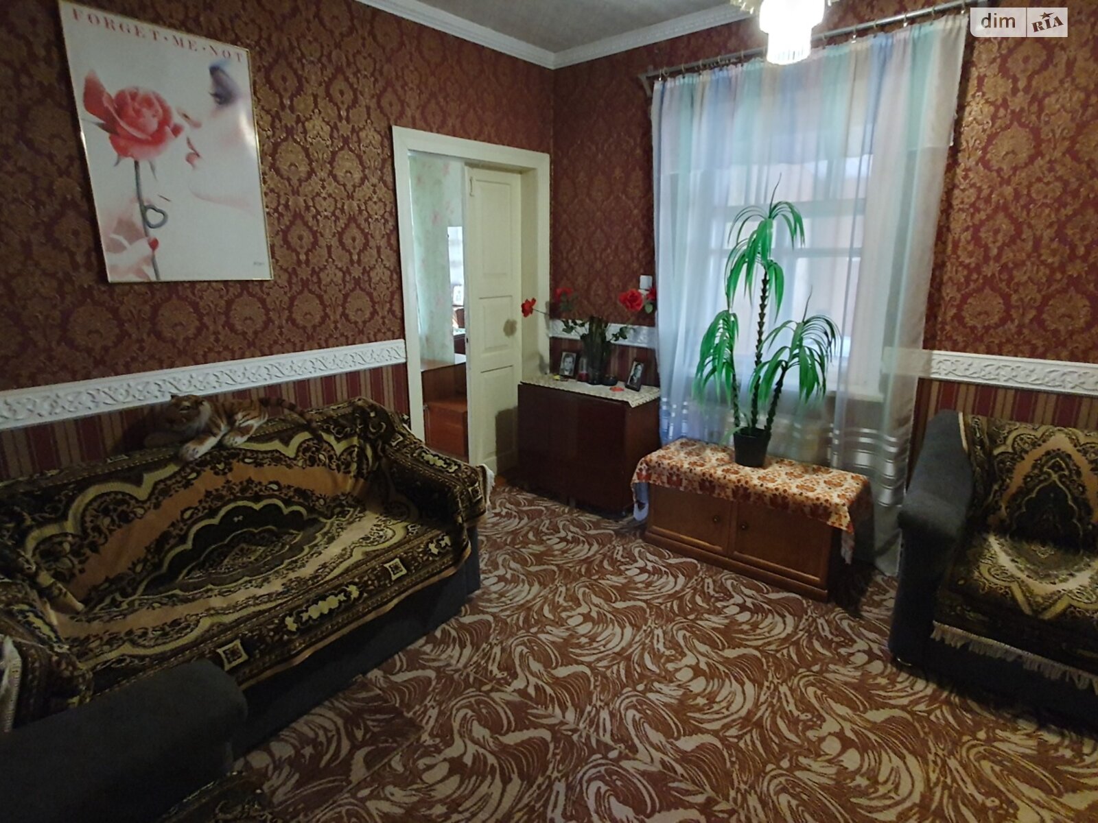 одноэтажный дом с верандой, 62.3 кв. м, шлакоблок. Продажа в Поляни фото 1 одноэтажный дом с верандой, 62.3 кв. м, шлакоблок. Продажа в Поляни фото 1