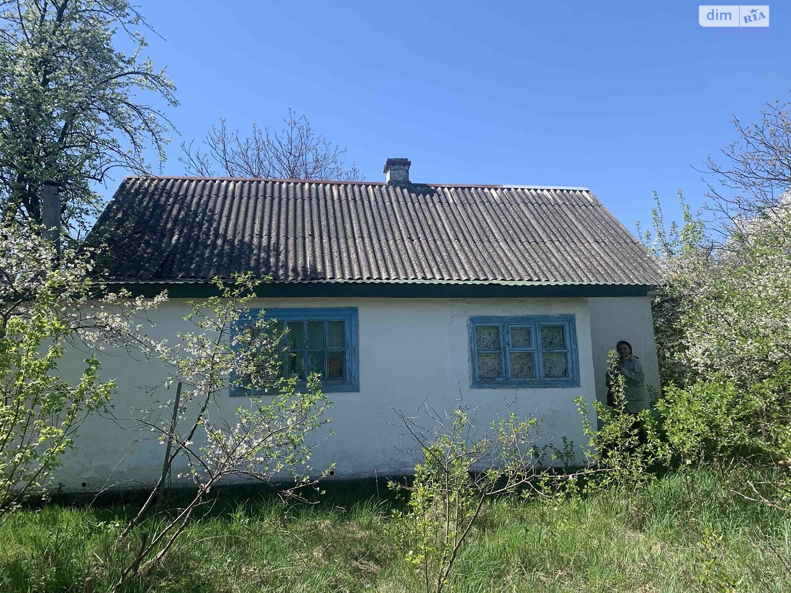 одноповерховий будинок, 56 кв. м, глинобитний. Продаж у Понінці фото 1 одноповерховий будинок, 56 кв. м, глинобитний. Продаж у Понінці фото 1