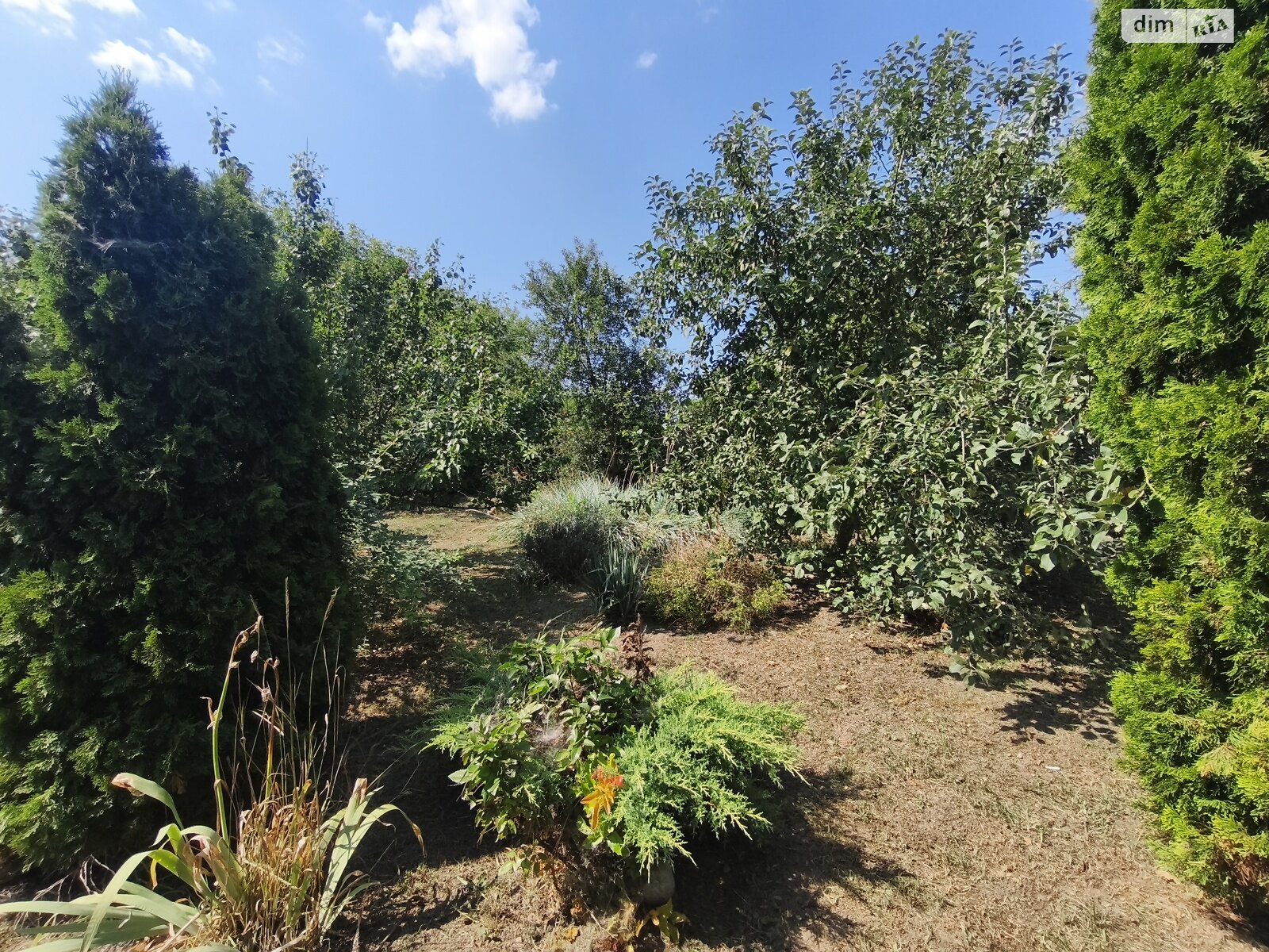 одноповерховий будинок з гаражем, 65 кв. м, цегла саманна. Продаж у Поповці фото 1