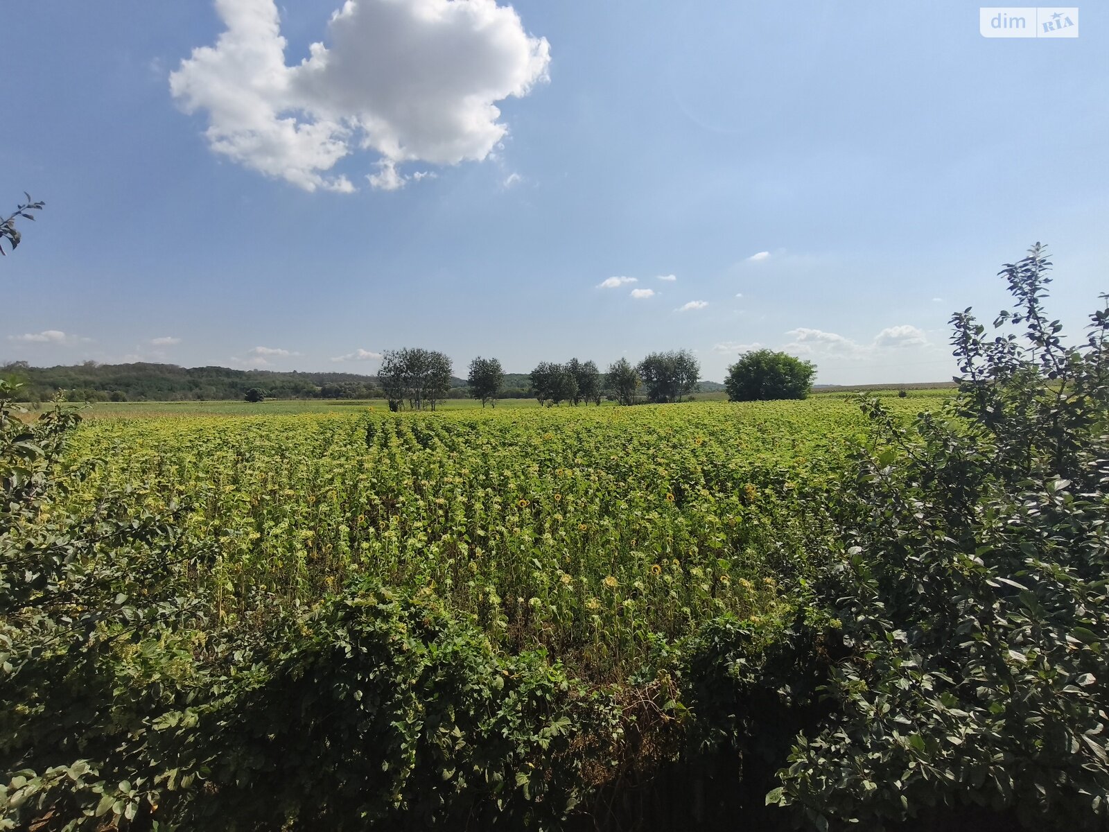 одноповерховий будинок з гаражем, 65 кв. м, цегла саманна. Продаж у Поповці фото 1