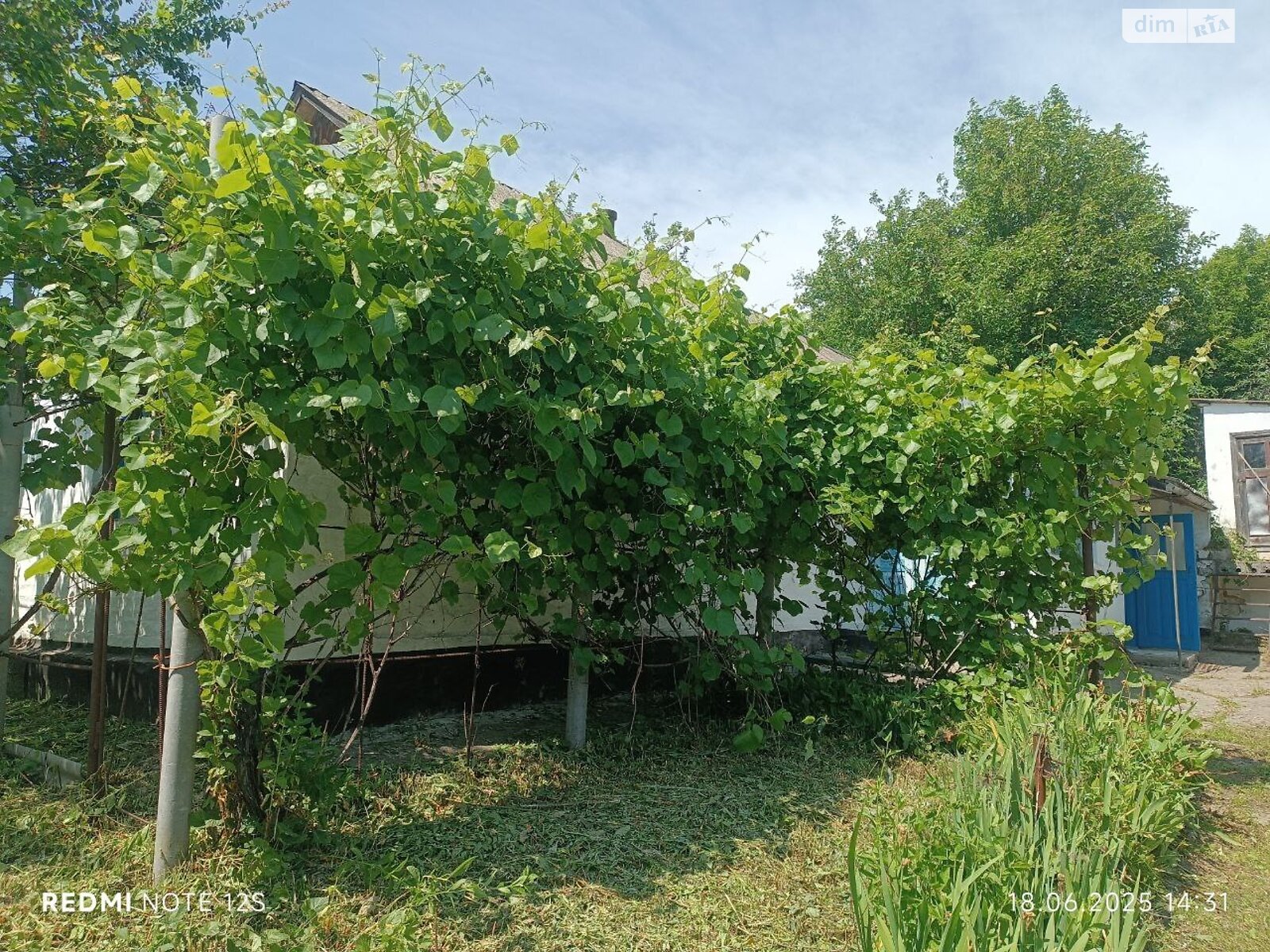 одноповерховий будинок з верандою, 84.5 кв. м, цегла. Продаж у Поправці фото 1