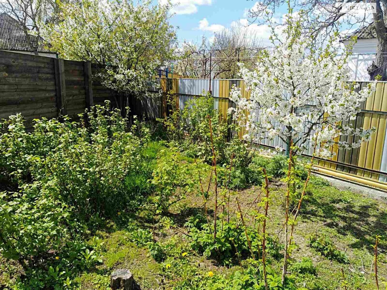 одноповерховий будинок з опаленням, 71 кв. м, цегла. Продаж у Потіївці фото 1 одноповерховий будинок з опаленням, 71 кв. м, цегла. Продаж у Потіївці фото 1