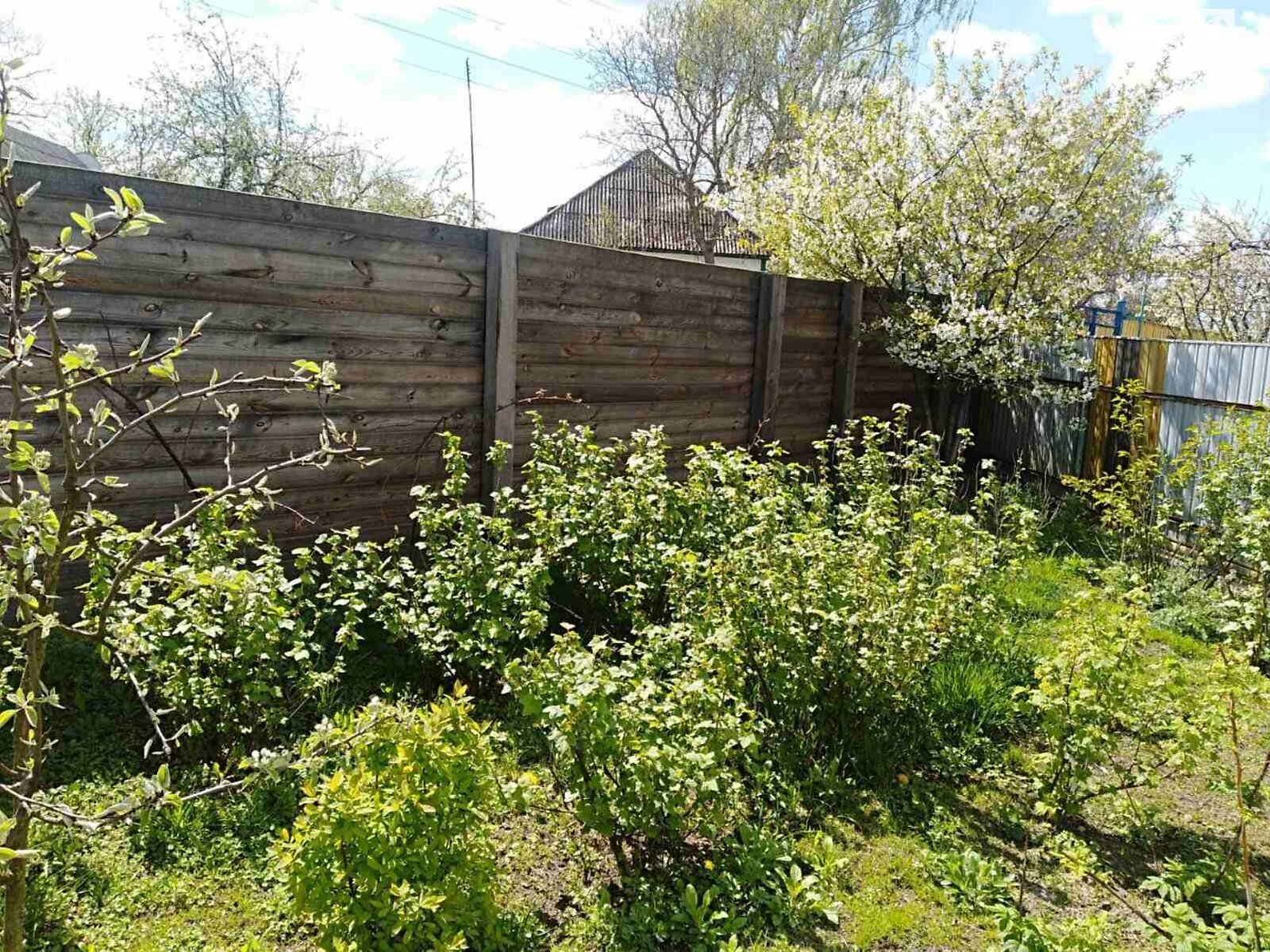 одноповерховий будинок з опаленням, 71 кв. м, цегла. Продаж у Потіївці фото 1 одноповерховий будинок з опаленням, 71 кв. м, цегла. Продаж у Потіївці фото 1