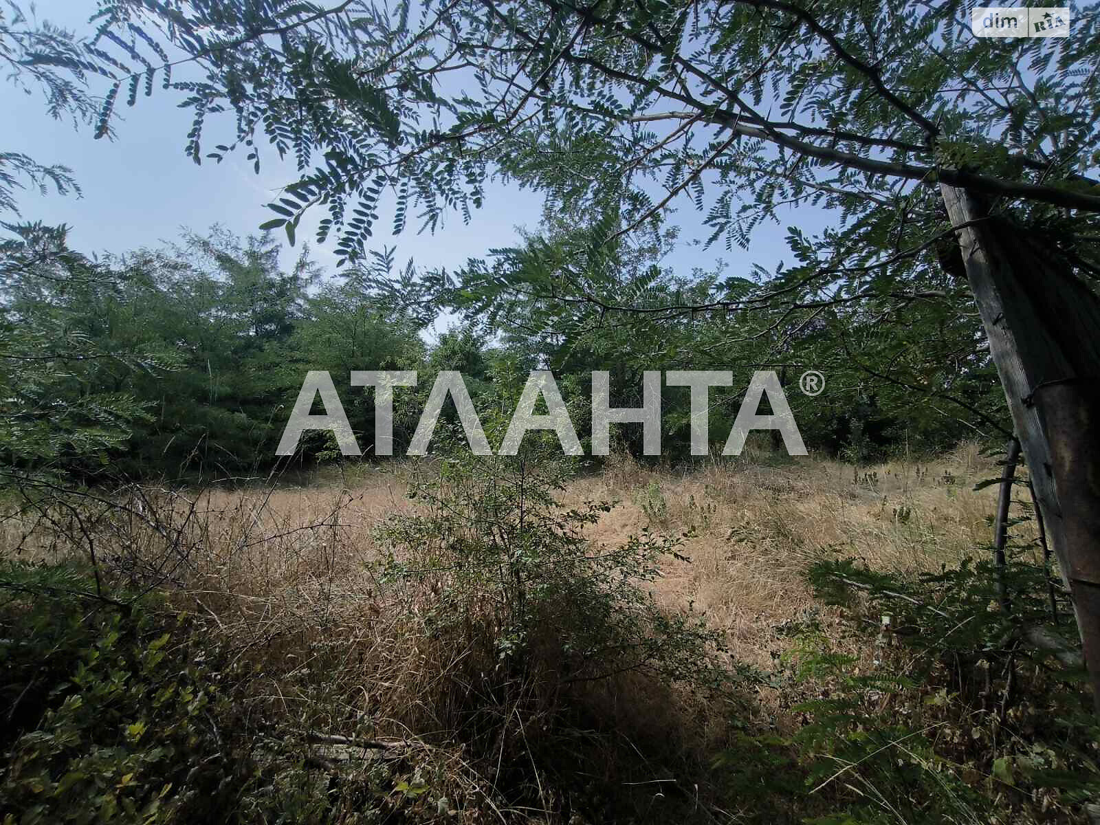 одноэтажный дом, 58.9 кв. м, ракушечник (ракушняк). Продажа в Повстанском фото 1 одноэтажный дом, 58.9 кв. м, ракушечник (ракушняк). Продажа в Повстанском фото 1