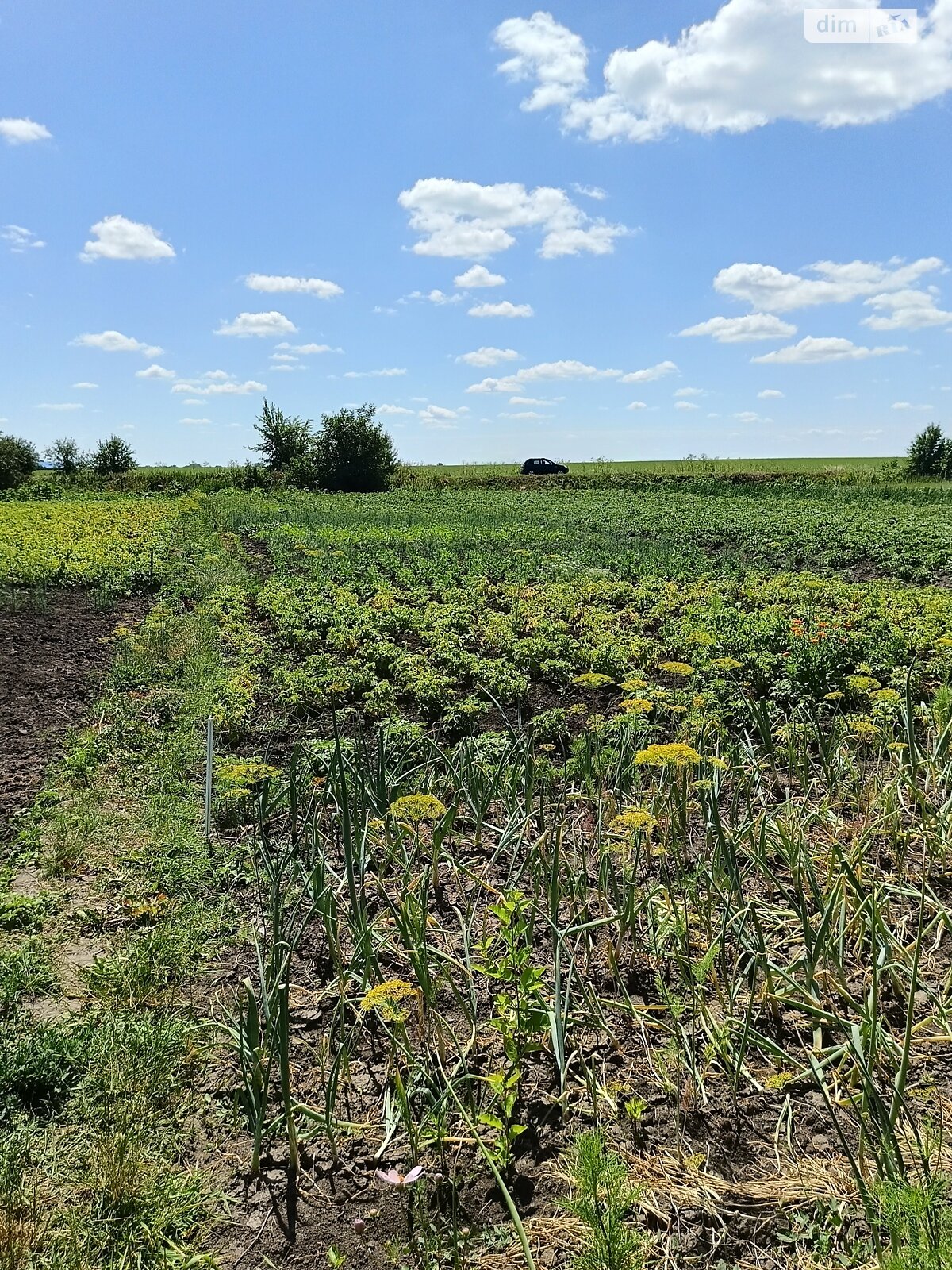 одноповерховий будинок з гаражем, 76.6 кв. м, цегла. Продаж у Приборівці фото 1 одноповерховий будинок з гаражем, 76.6 кв. м, цегла. Продаж у Приборівці фото 1