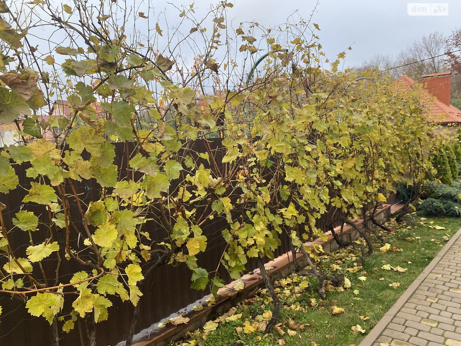 двухэтажный дом с верандой, 200 кв. м, кирпич. Продажа в Прибужскому фото 1