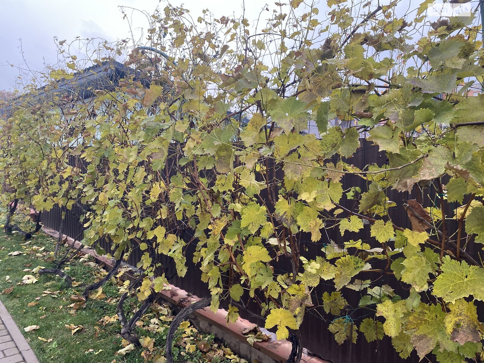 двухэтажный дом с верандой, 200 кв. м, кирпич. Продажа в Прибужскому фото 1