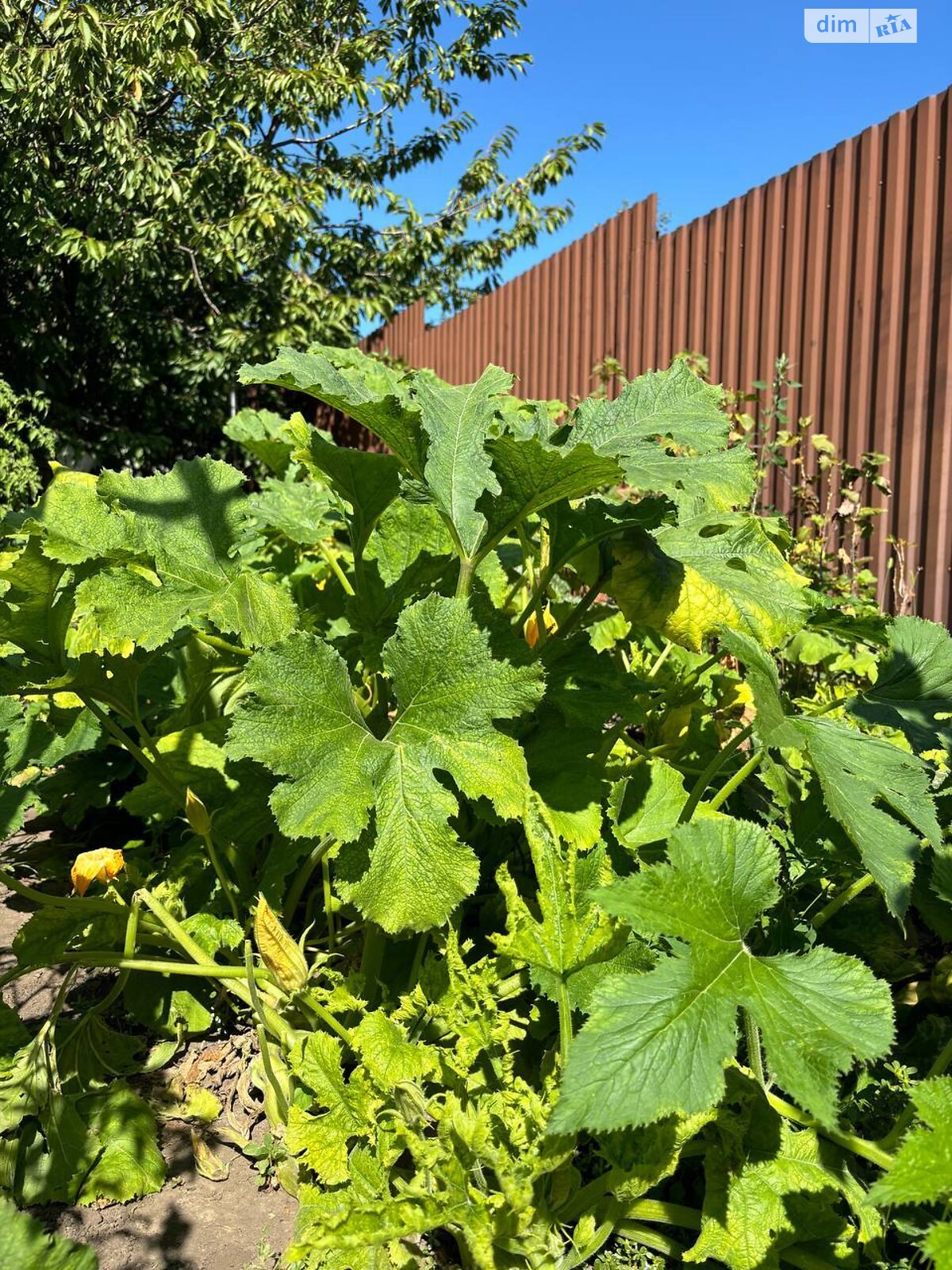 двоповерховий будинок з гаражем, 301.3 кв. м, кирпич. Продаж у Прибузькому фото 1