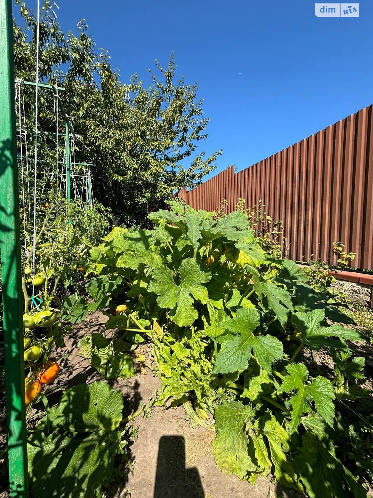 двоповерховий будинок з гаражем, 301.3 кв. м, кирпич. Продаж у Прибузькому фото 1