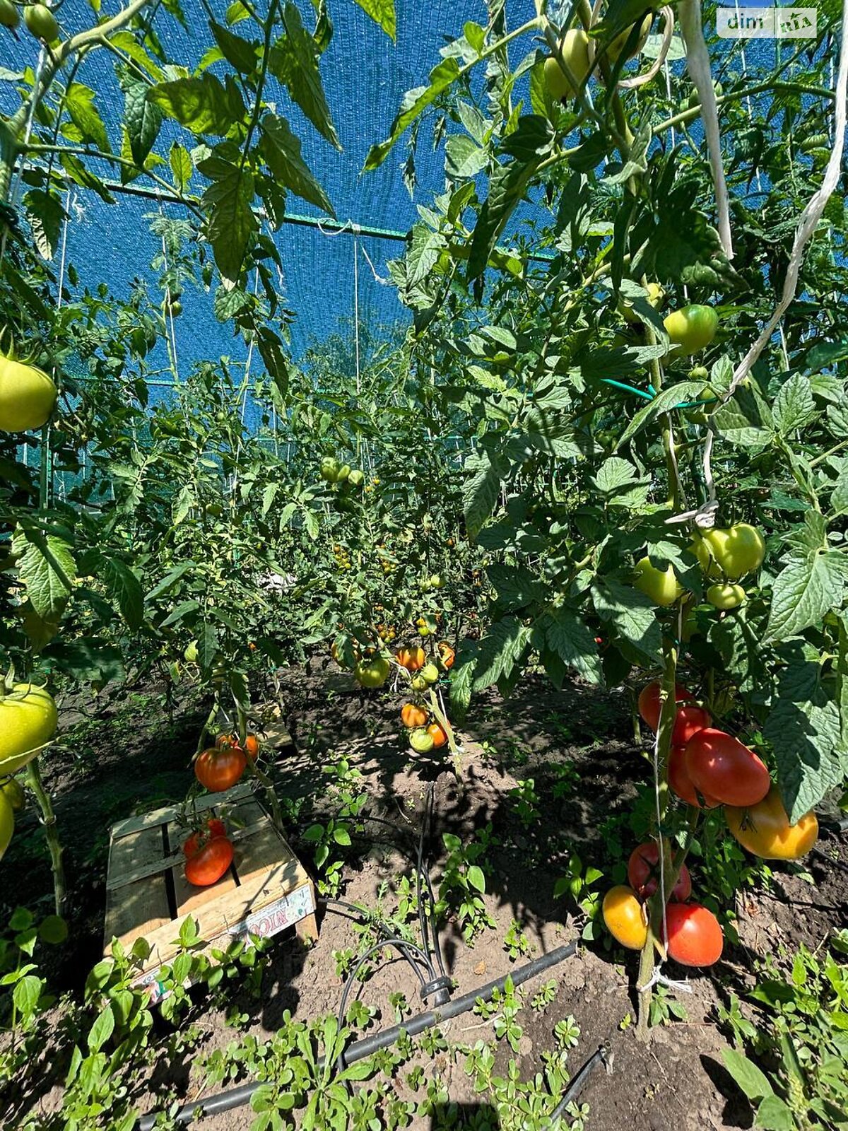 двоповерховий будинок з гаражем, 301.3 кв. м, кирпич. Продаж у Прибузькому фото 1